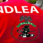 KC Luxury Seeks Freedom, N190m Damages As Court Orders NDLEA To Produce Him