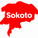 Sokoto Boat Tragedy: 46 Bodies Recovered as Search Continues